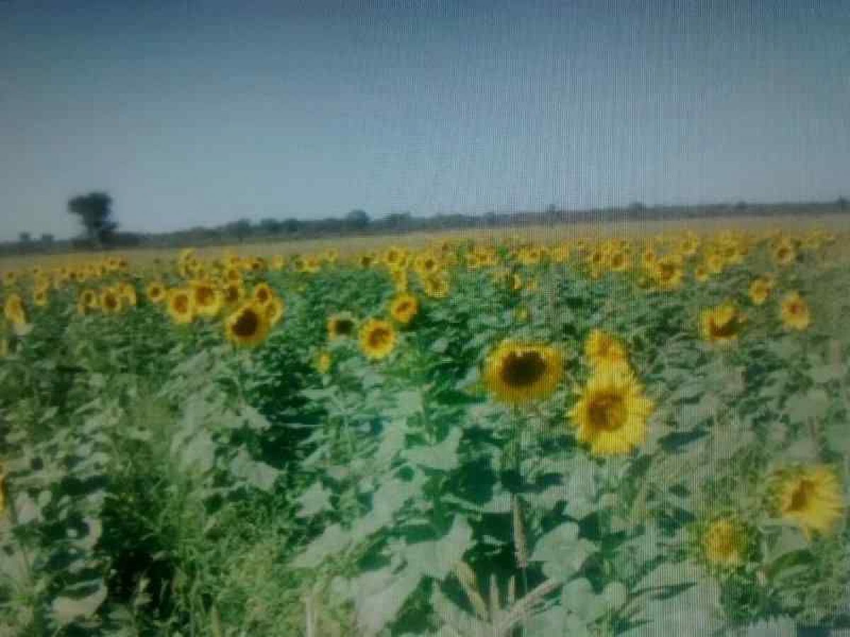 Picture of Other Commercial For Sale in Santiago Del Estero, Santiago del Estero, Argentina