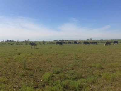 Home For Sale in Entre Rios, Argentina