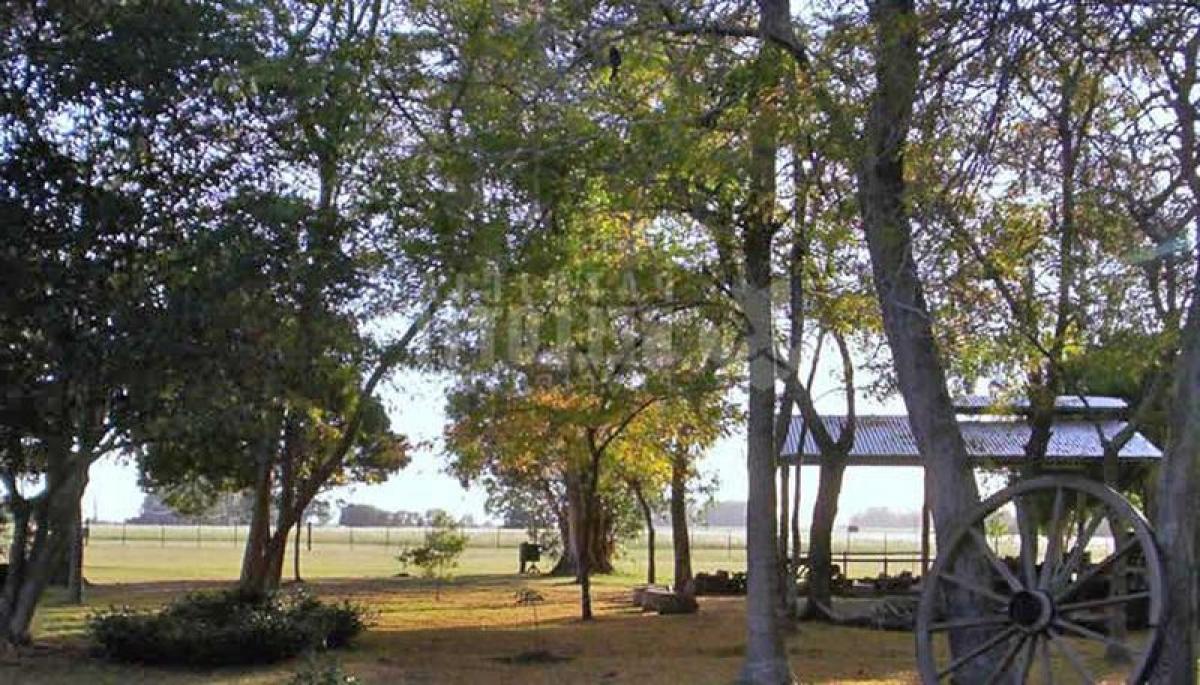 Picture of Residential Land For Sale in Punta Indio, Buenos Aires, Argentina