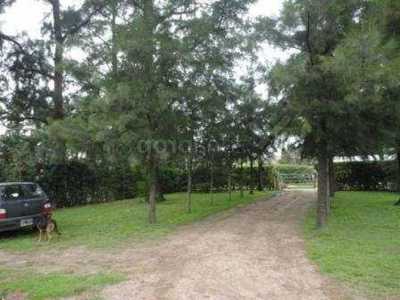 Farm For Sale in Moreno, Argentina