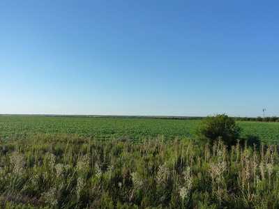 Home For Sale in Entre Rios, Argentina