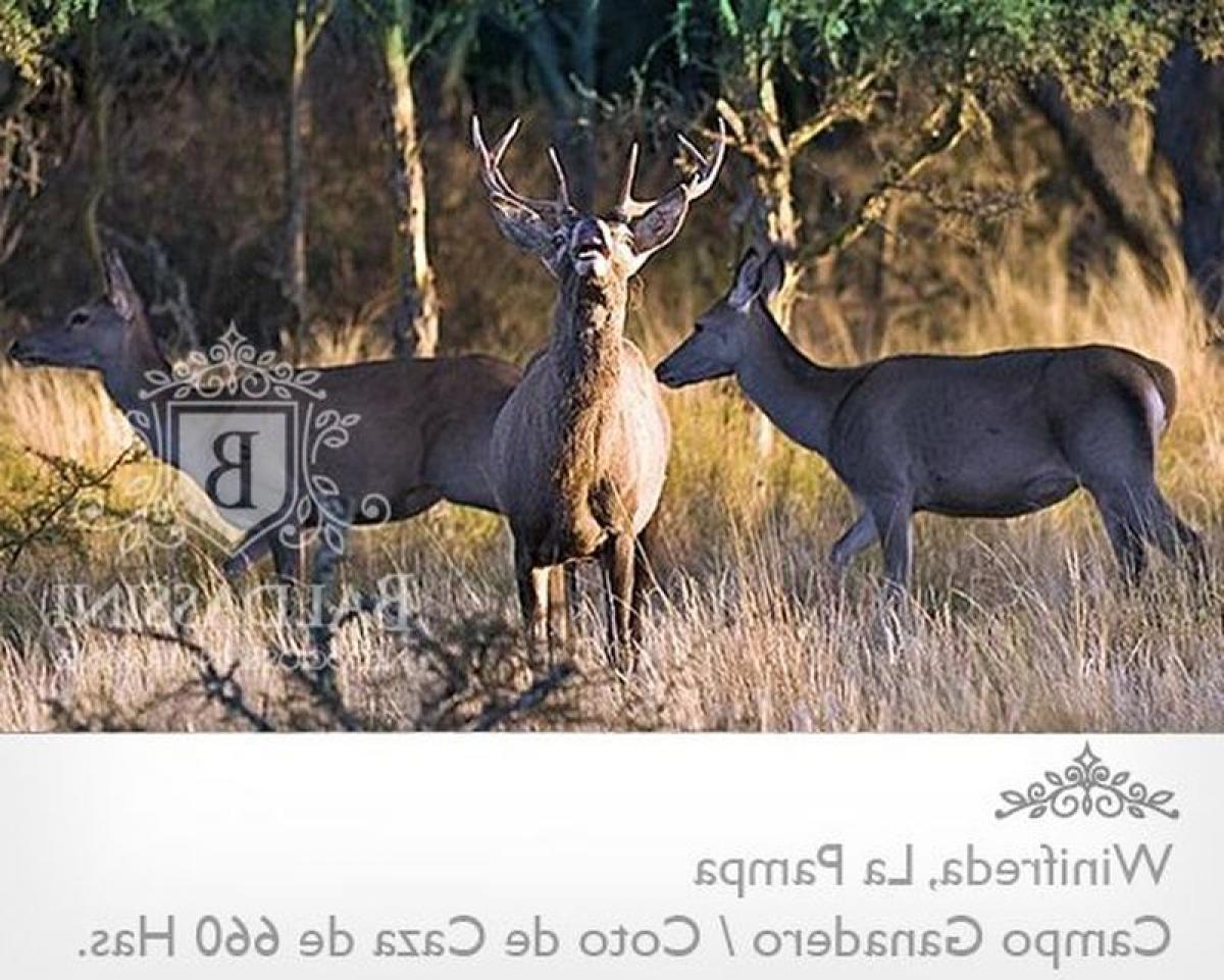 Picture of Home For Sale in La Pampa, Cordoba, Argentina