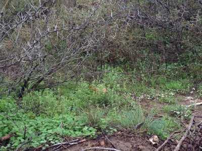 Home For Sale in La Pampa, Argentina