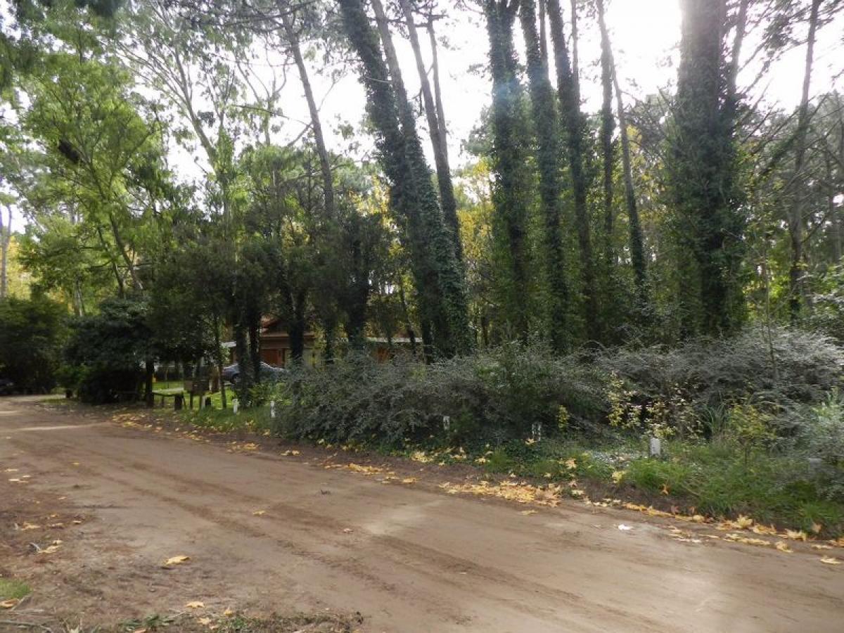 Picture of Residential Land For Sale in Buenos Aires Costa Atlantica, Buenos Aires, Argentina