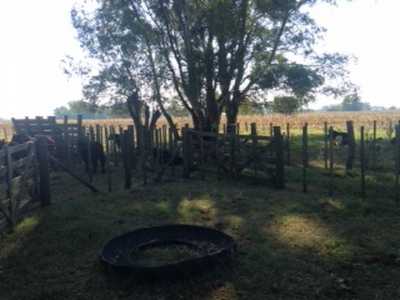 Home For Sale in Las Flores, Argentina