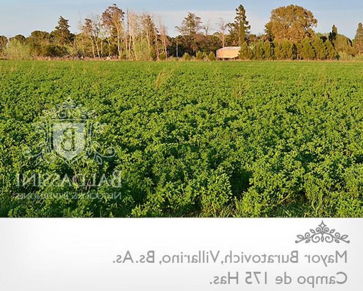 Picture of Home For Sale in Villarino, Buenos Aires, Argentina