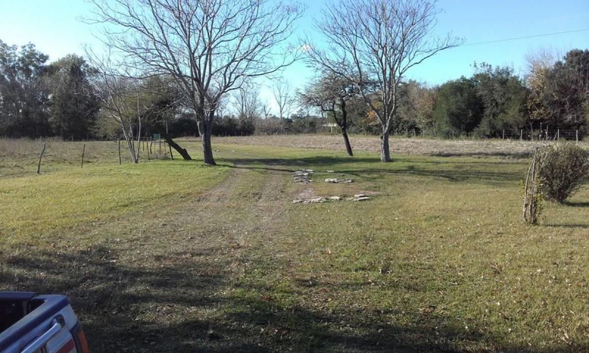 Picture of Farm For Sale in Entre Rios, Entre Rios, Argentina