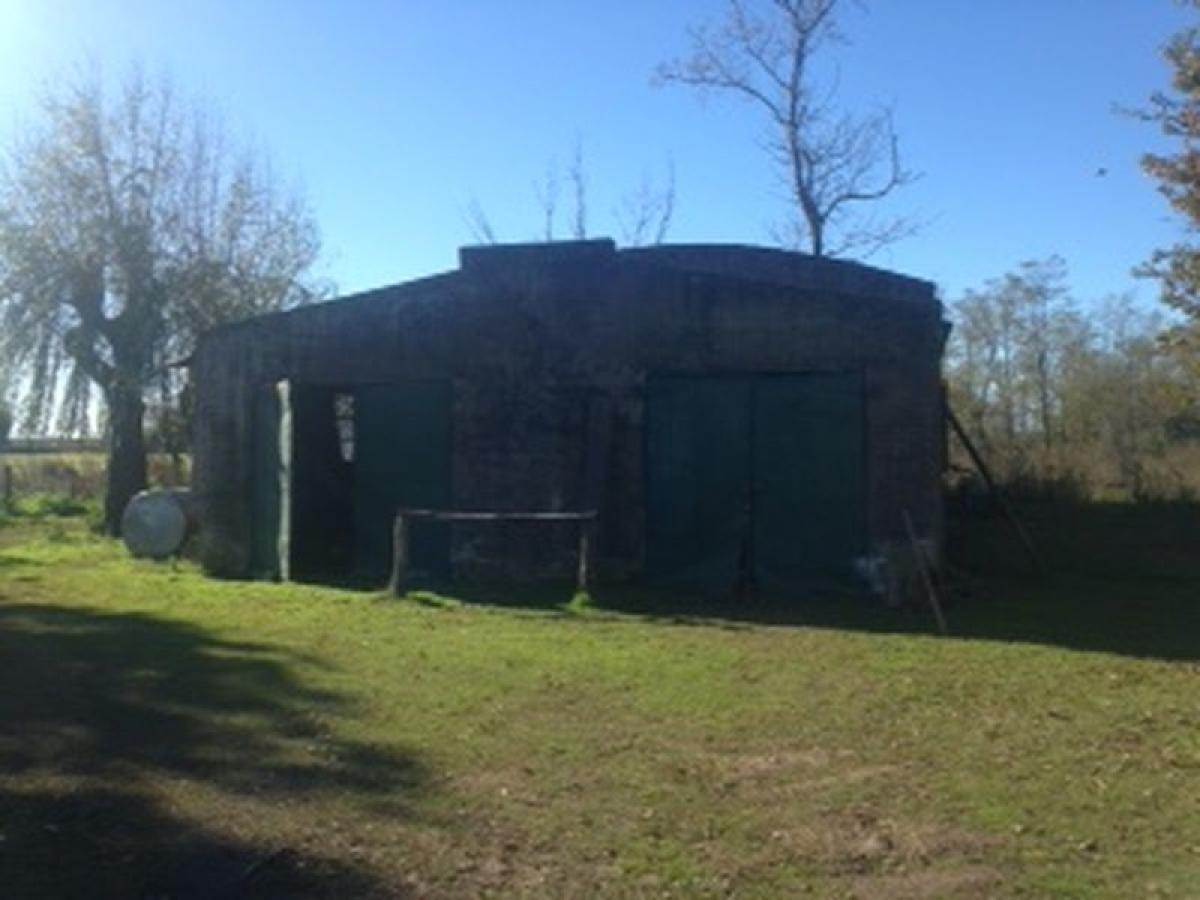 Picture of Farm For Sale in Buenos Aires Interior, Buenos Aires, Argentina