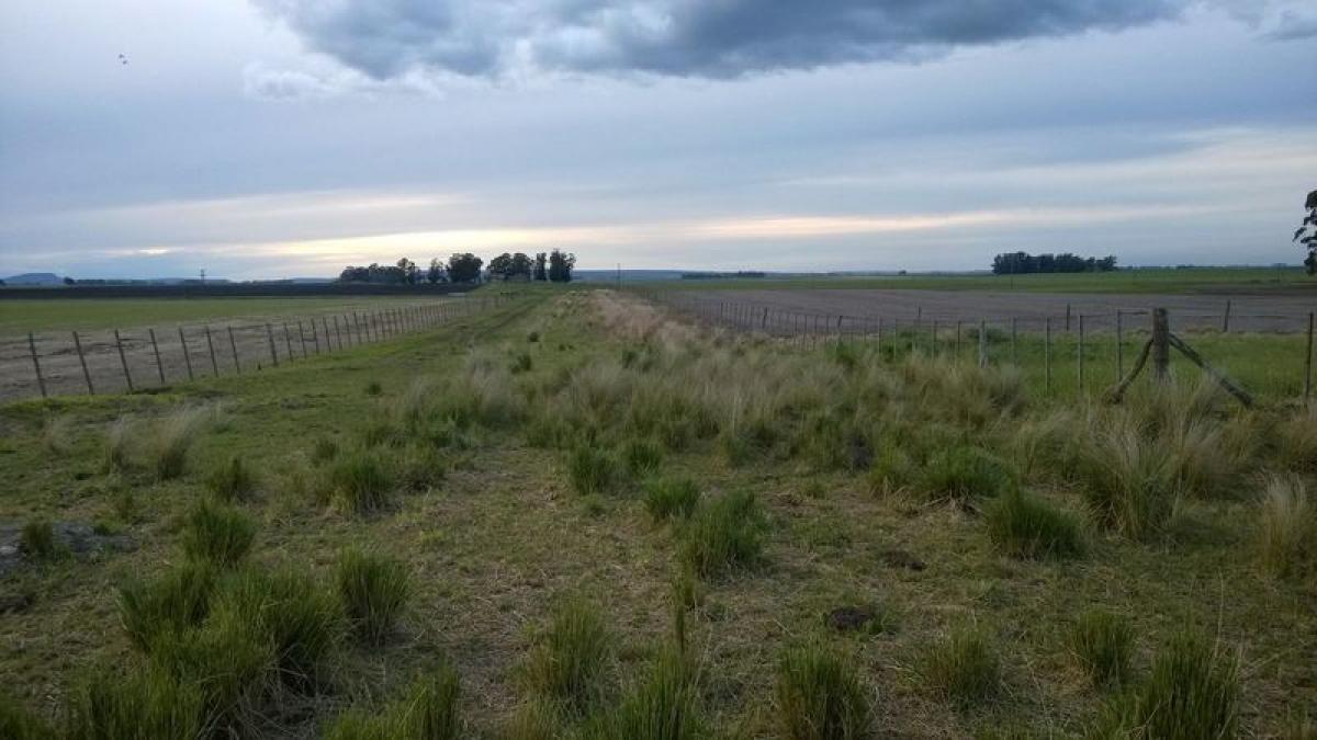 Picture of Home For Sale in Buenos Aires Interior, Buenos Aires, Argentina
