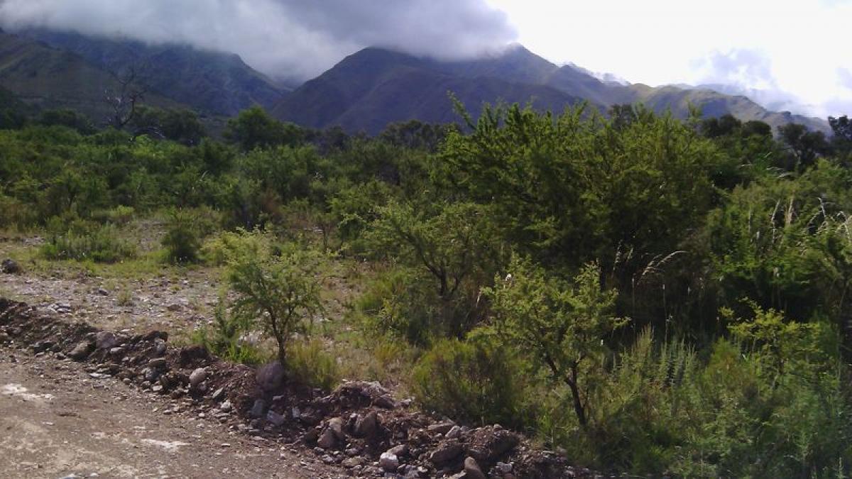 Picture of Residential Land For Sale in San Luis, San Luis, Argentina
