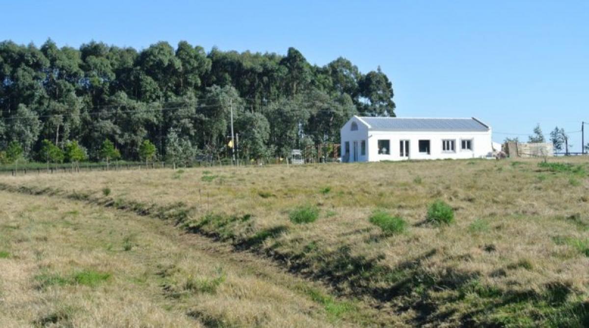 Picture of Farm For Sale in Olavarria, Buenos Aires, Argentina