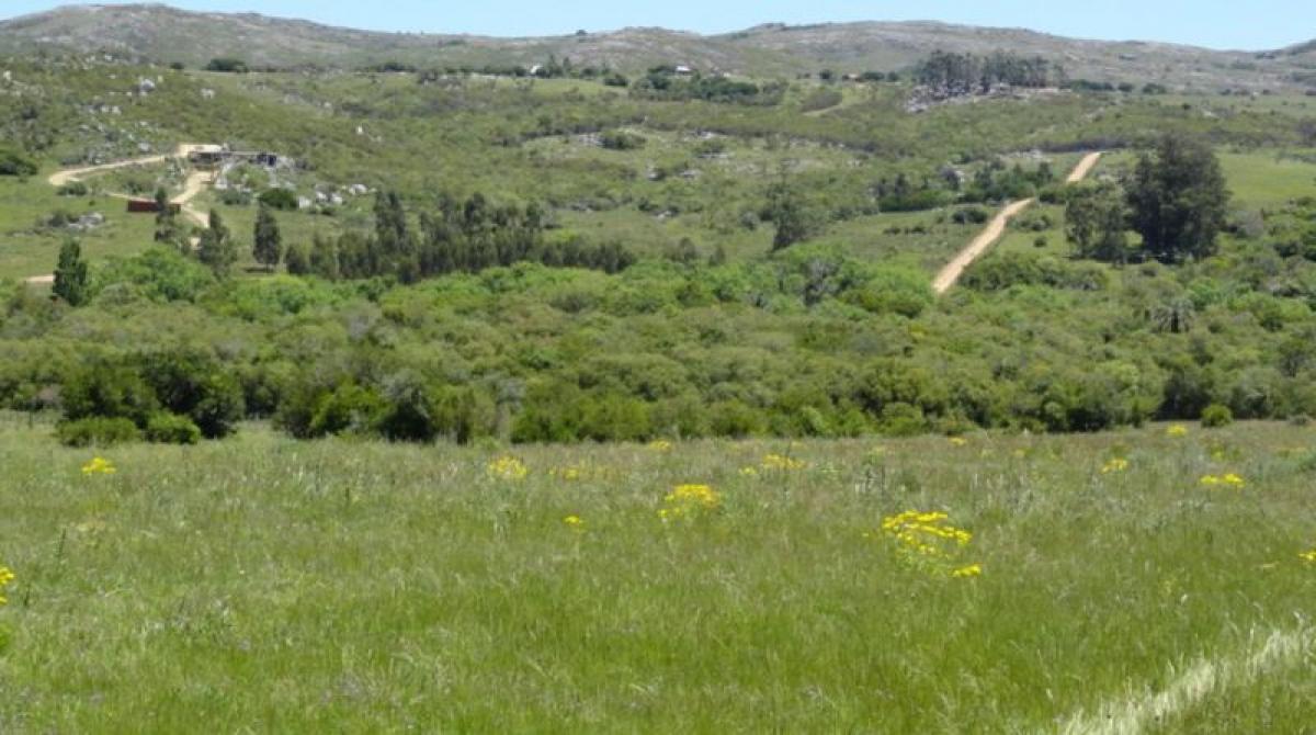 Picture of Farm For Sale in Mendoza, Mendoza, Argentina