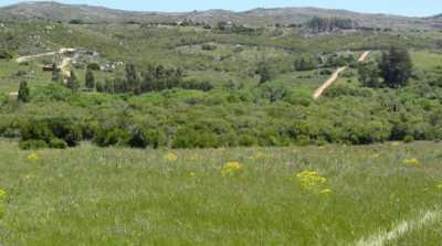 Farm For Sale in Mendoza, Argentina