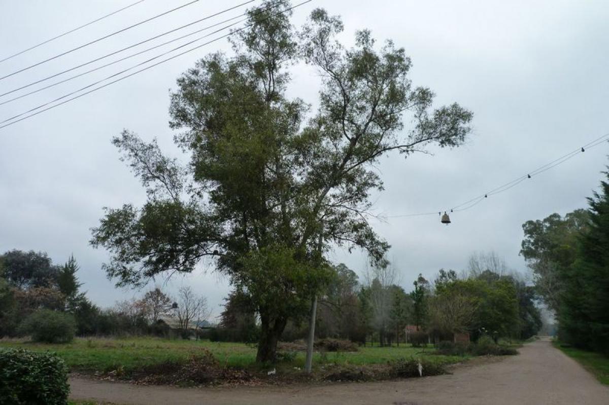 Picture of Residential Land For Sale in Exaltacion De La Cruz, Buenos Aires, Argentina