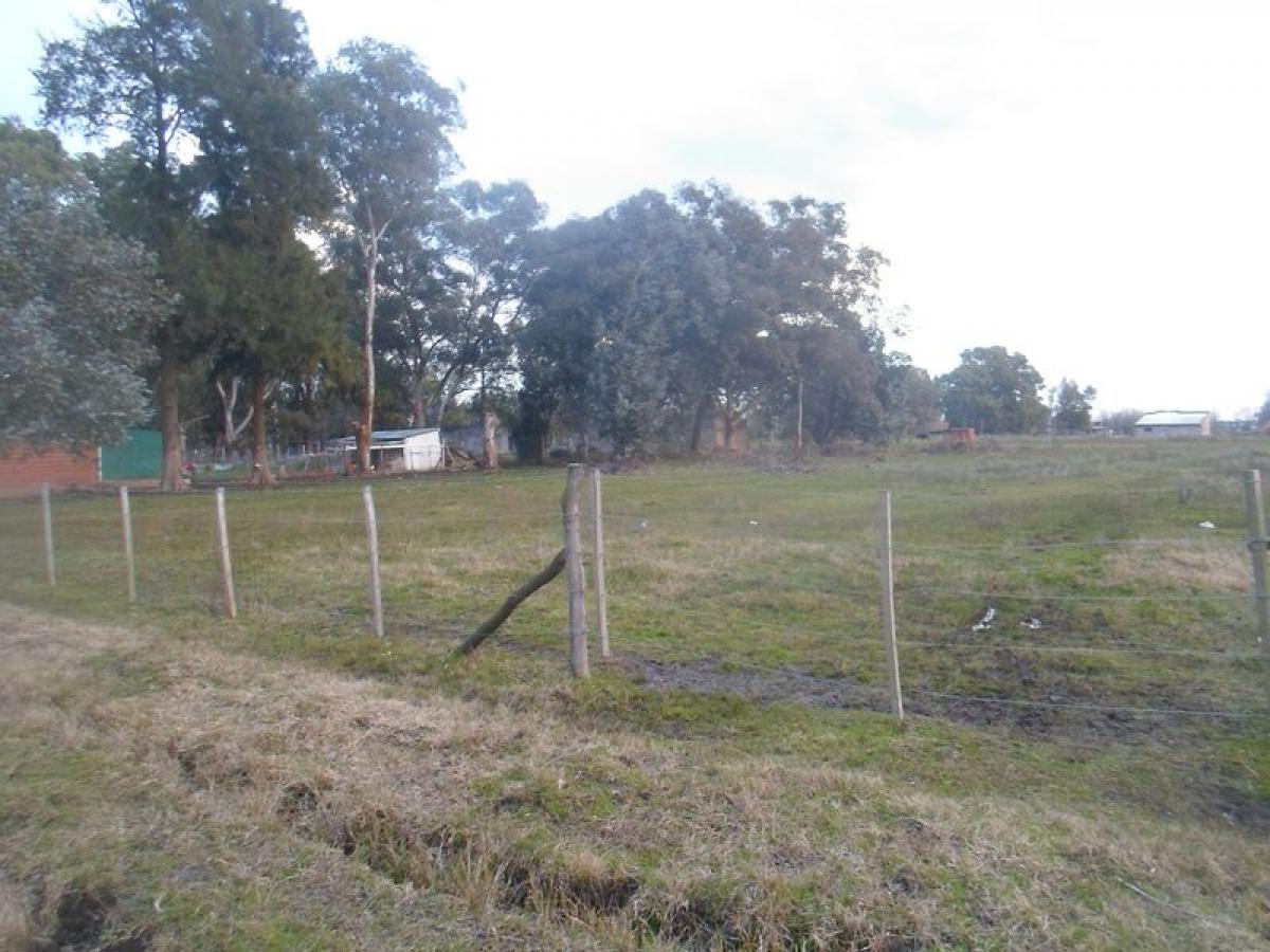 Picture of Residential Land For Sale in Brandsen, Buenos Aires, Argentina