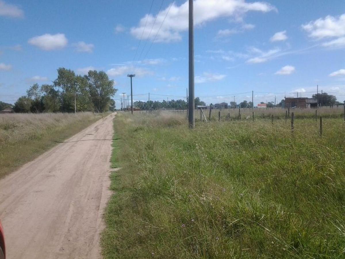 Picture of Residential Land For Sale in Chascomus, Buenos Aires, Argentina