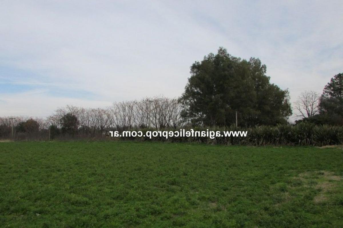 Picture of Farm For Sale in Buenos Aires Interior, Buenos Aires, Argentina