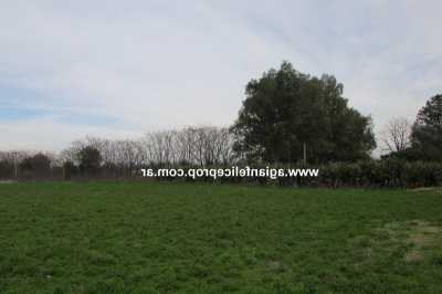 Farm For Sale in Buenos Aires Interior, Argentina