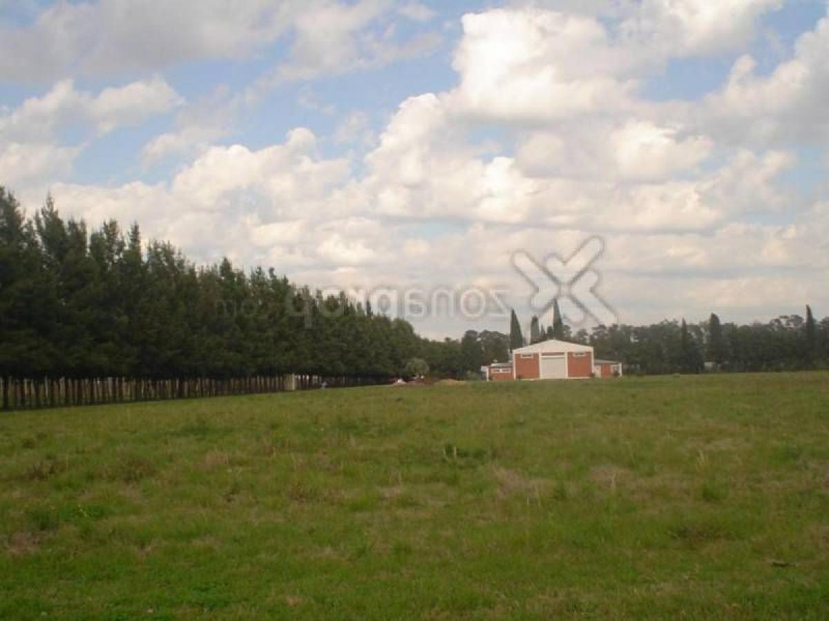 Picture of Home For Sale in Baradero, Buenos Aires, Argentina