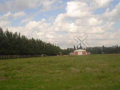 Home For Sale in Baradero, Argentina