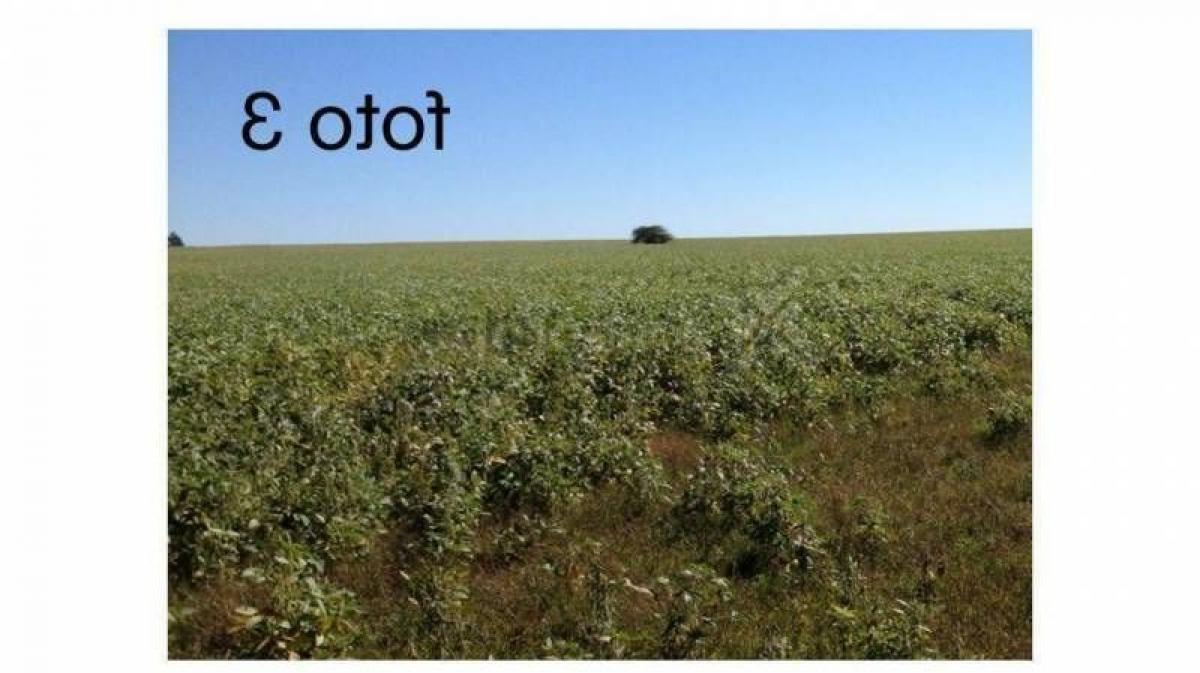 Picture of Home For Sale in Roque Perez, Buenos Aires, Argentina