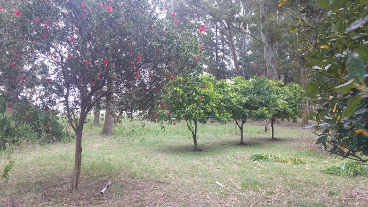 Picture of Other Commercial For Sale in Buenos Aires Interior, Buenos Aires, Argentina