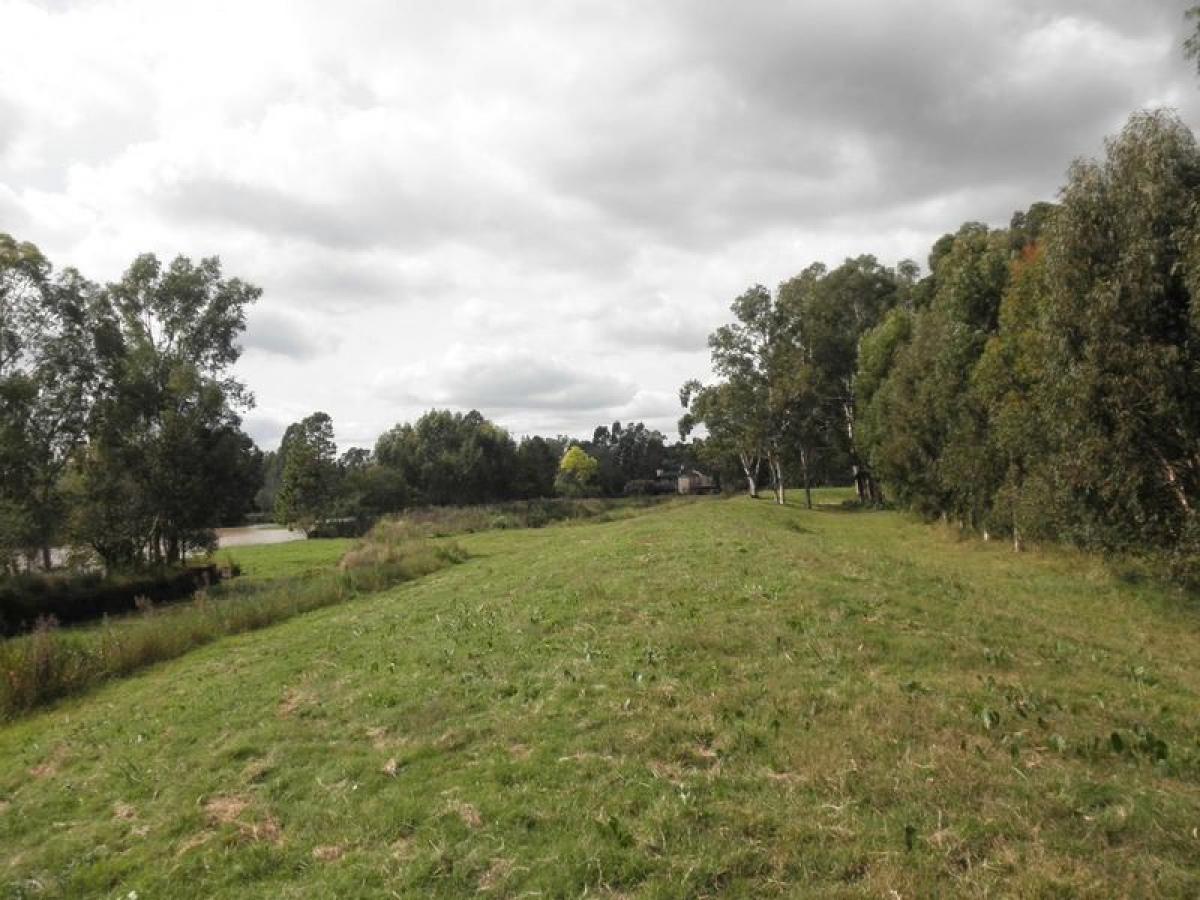 Picture of Farm For Sale in Entre Rios, Entre Rios, Argentina