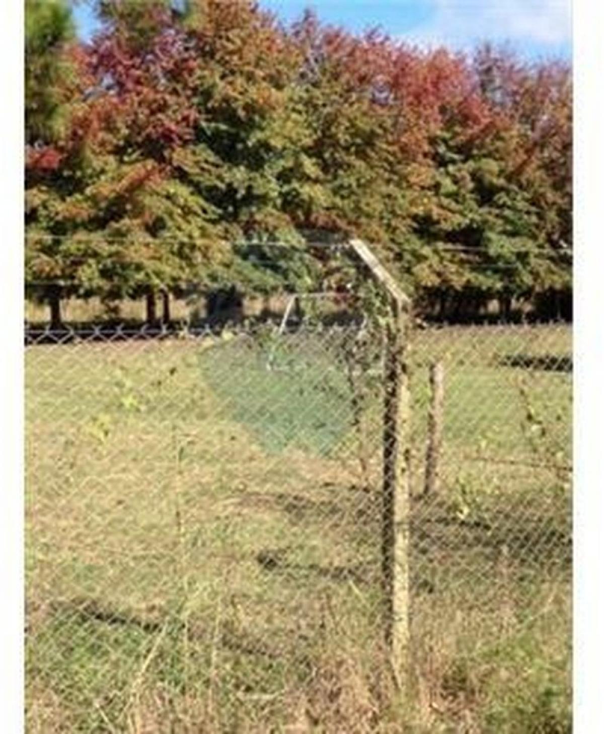 Picture of Residential Land For Sale in Pilar, Santa Fe, Argentina