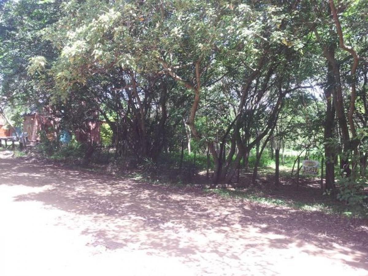 Paso de la Patria, Corrientes, Corrientes, Argentina Residential Land