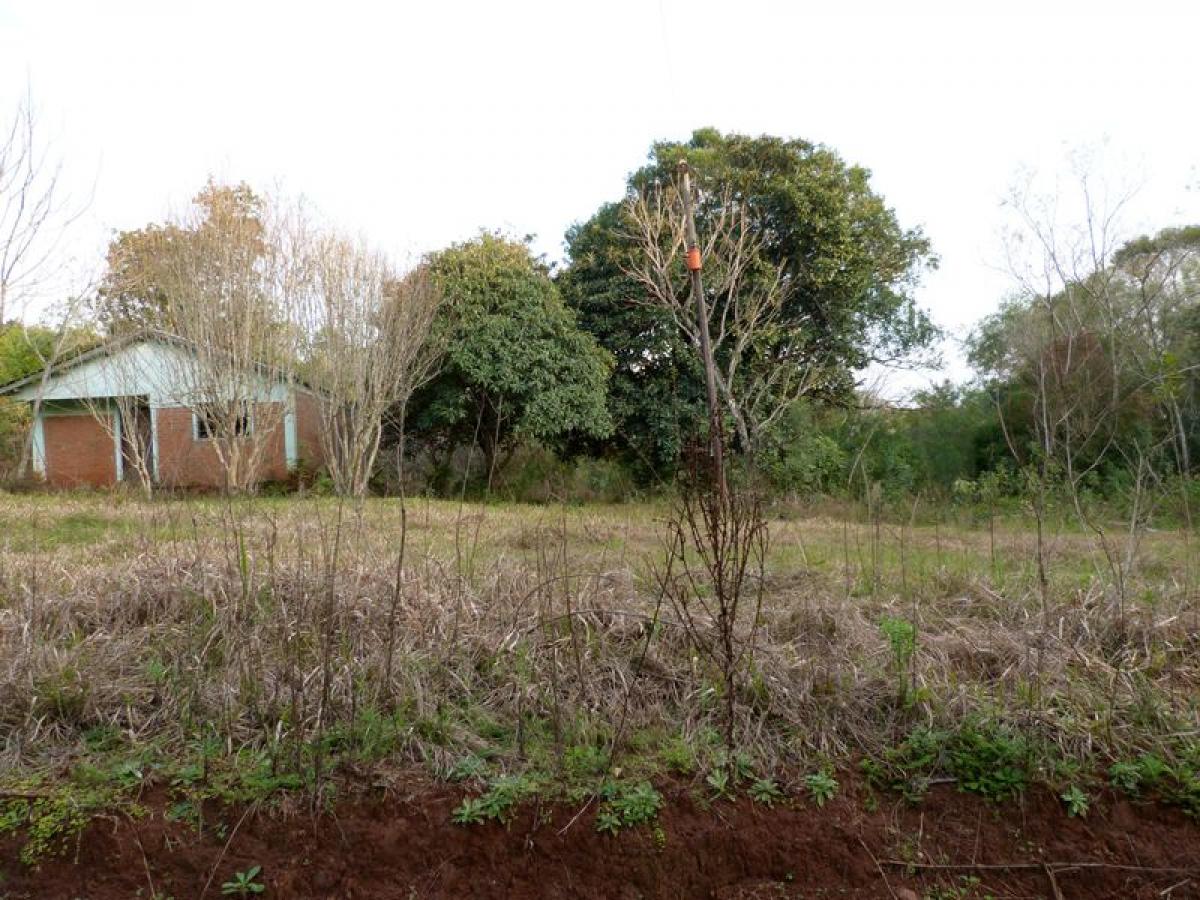Picture of Farm For Sale in Misiones, Misiones, Argentina