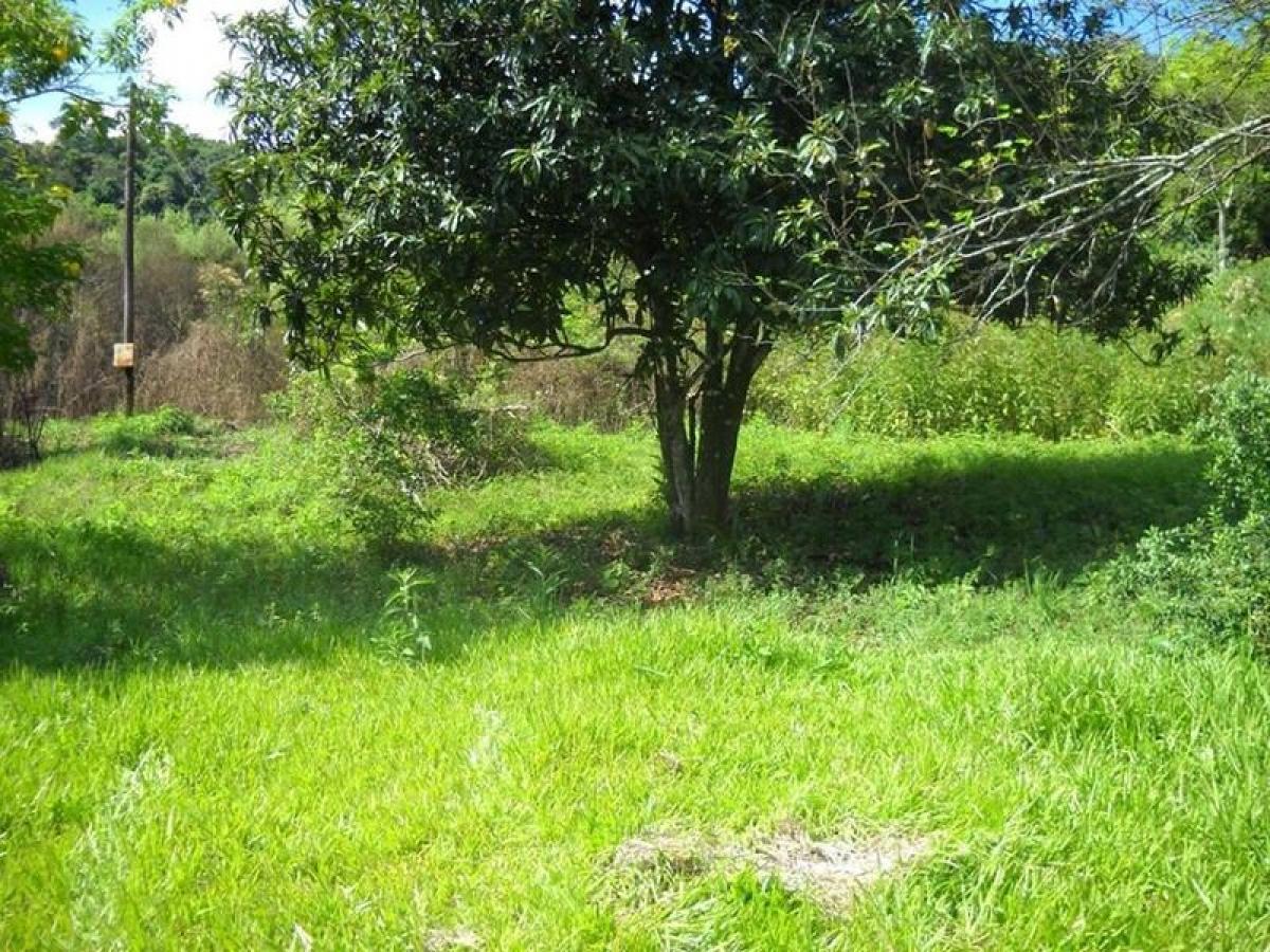 Picture of Farm For Sale in Misiones, Misiones, Argentina