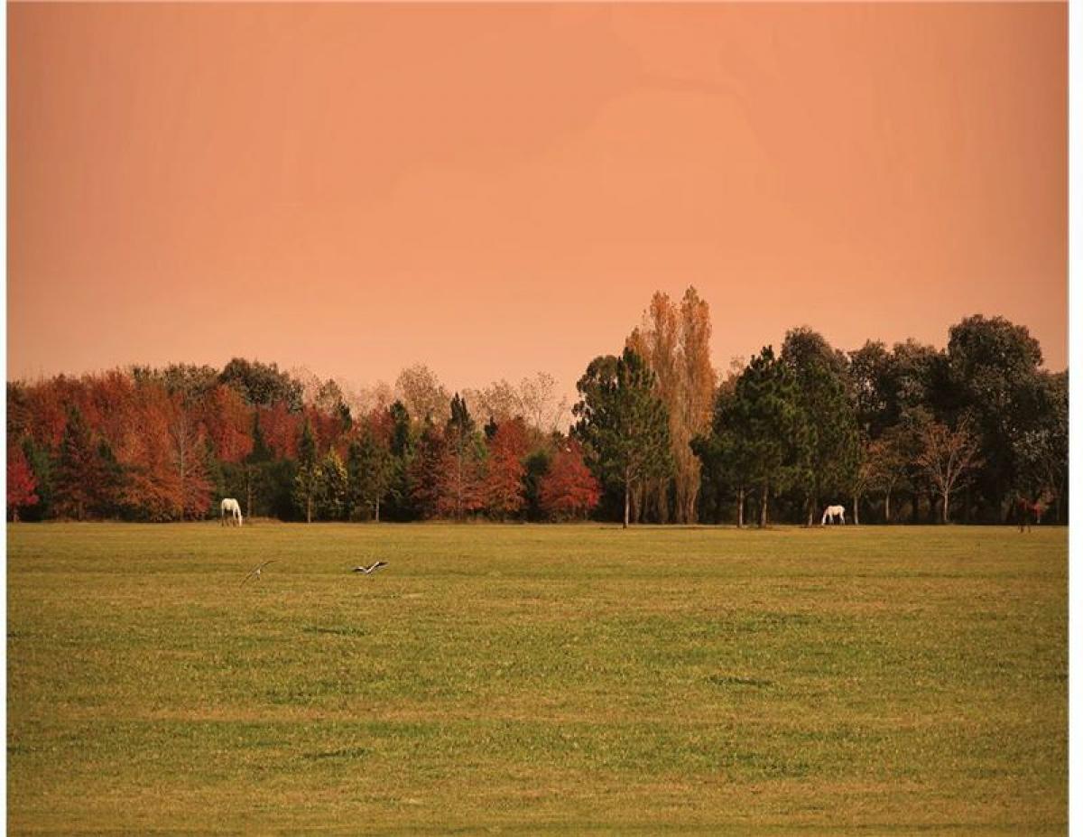 Picture of Residential Land For Sale in Campana, Buenos Aires, Argentina