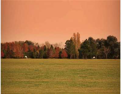 Residential Land For Sale in Campana, Argentina