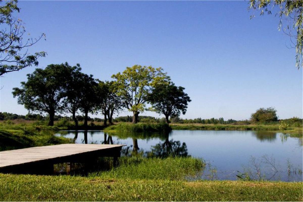 Picture of Residential Land For Sale in Campana, Buenos Aires, Argentina
