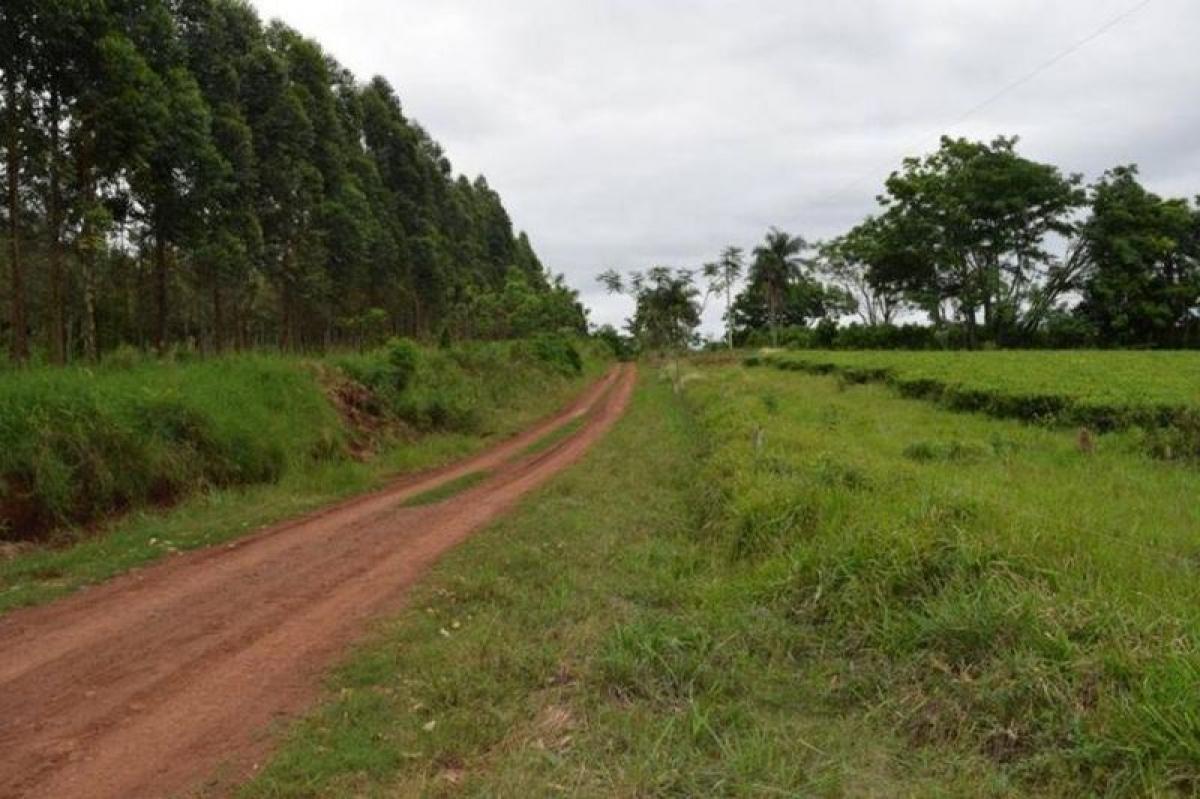 Picture of Farm For Sale in Misiones, Misiones, Argentina