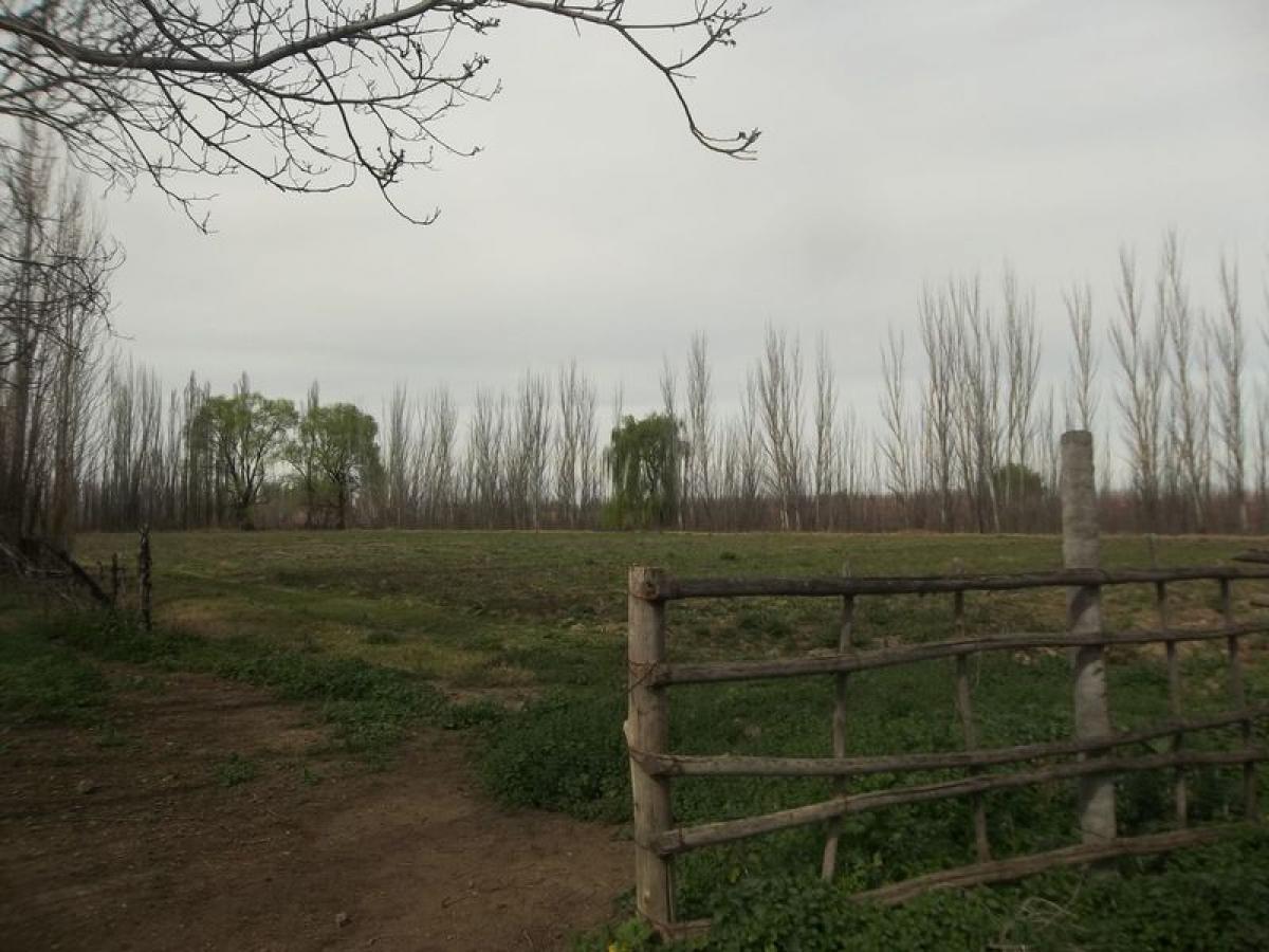 Picture of Farm For Sale in Rio Negro, Rio Negro, Argentina
