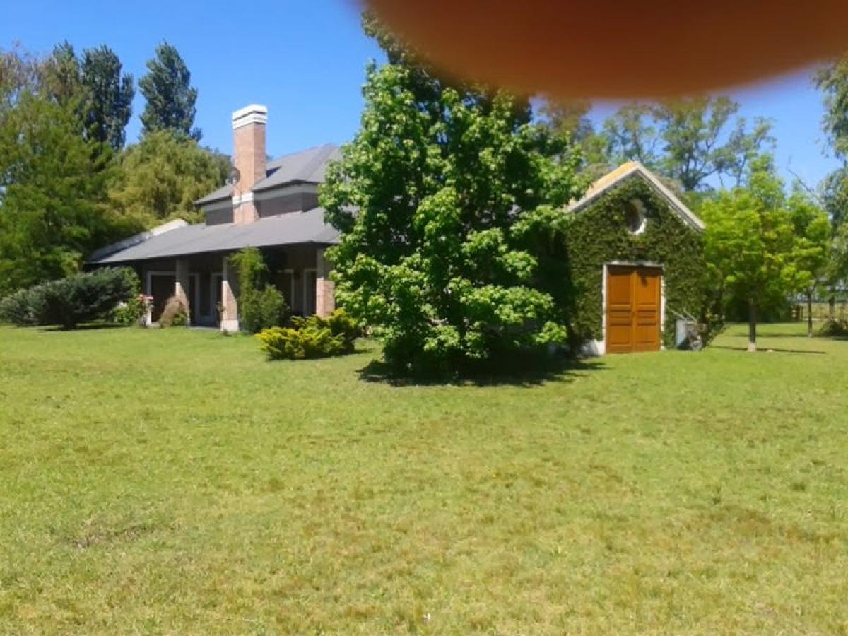 Picture of Farm For Sale in Carmen De Areco, Buenos Aires, Argentina