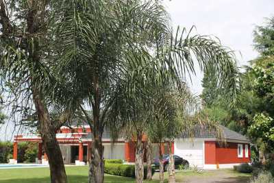 Farm For Sale in Ezeiza, Argentina