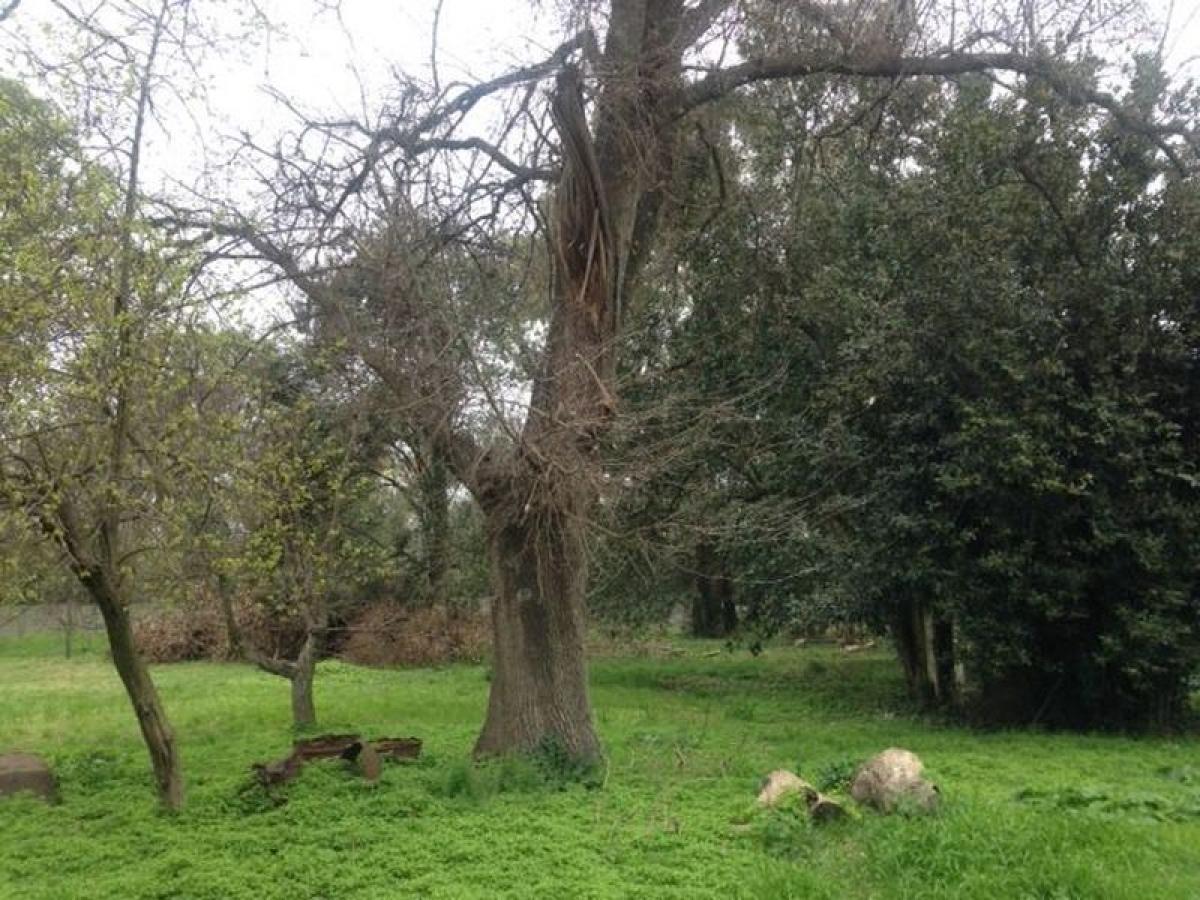 Picture of Farm For Sale in La Plata, Buenos Aires, Argentina