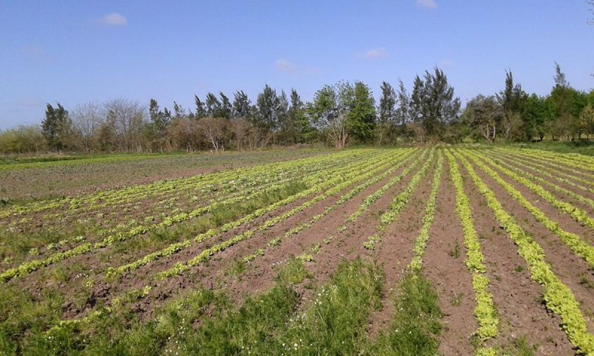 Picture of Farm For Sale in Ezeiza, Buenos Aires, Argentina