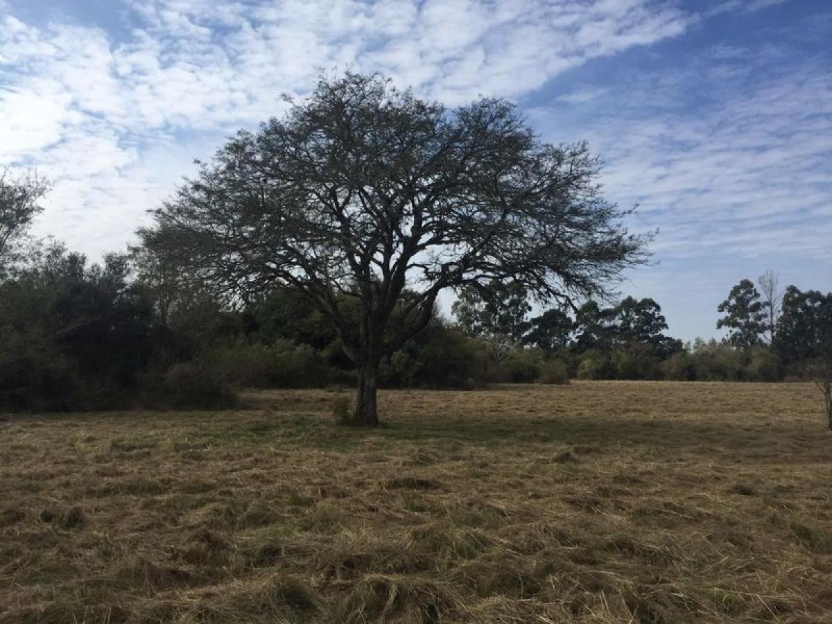 Picture of Other Commercial For Sale in Chaco, Chaco, Argentina