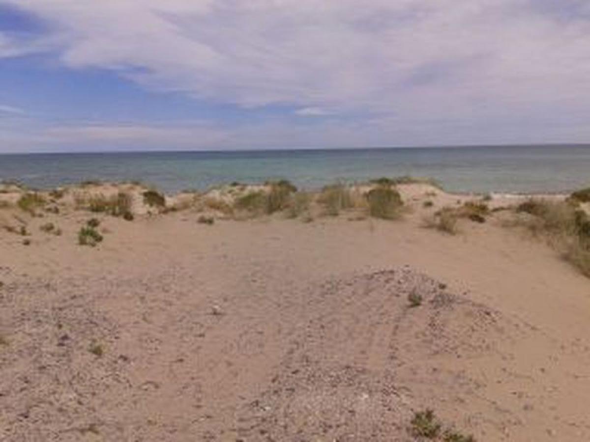 Picture of Residential Land For Sale in Rio Negro, Rio Negro, Argentina