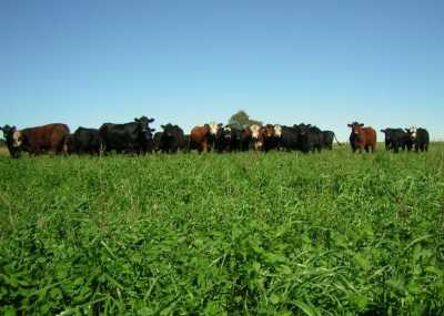 Home For Sale in Veinticinco De Mayo, Argentina