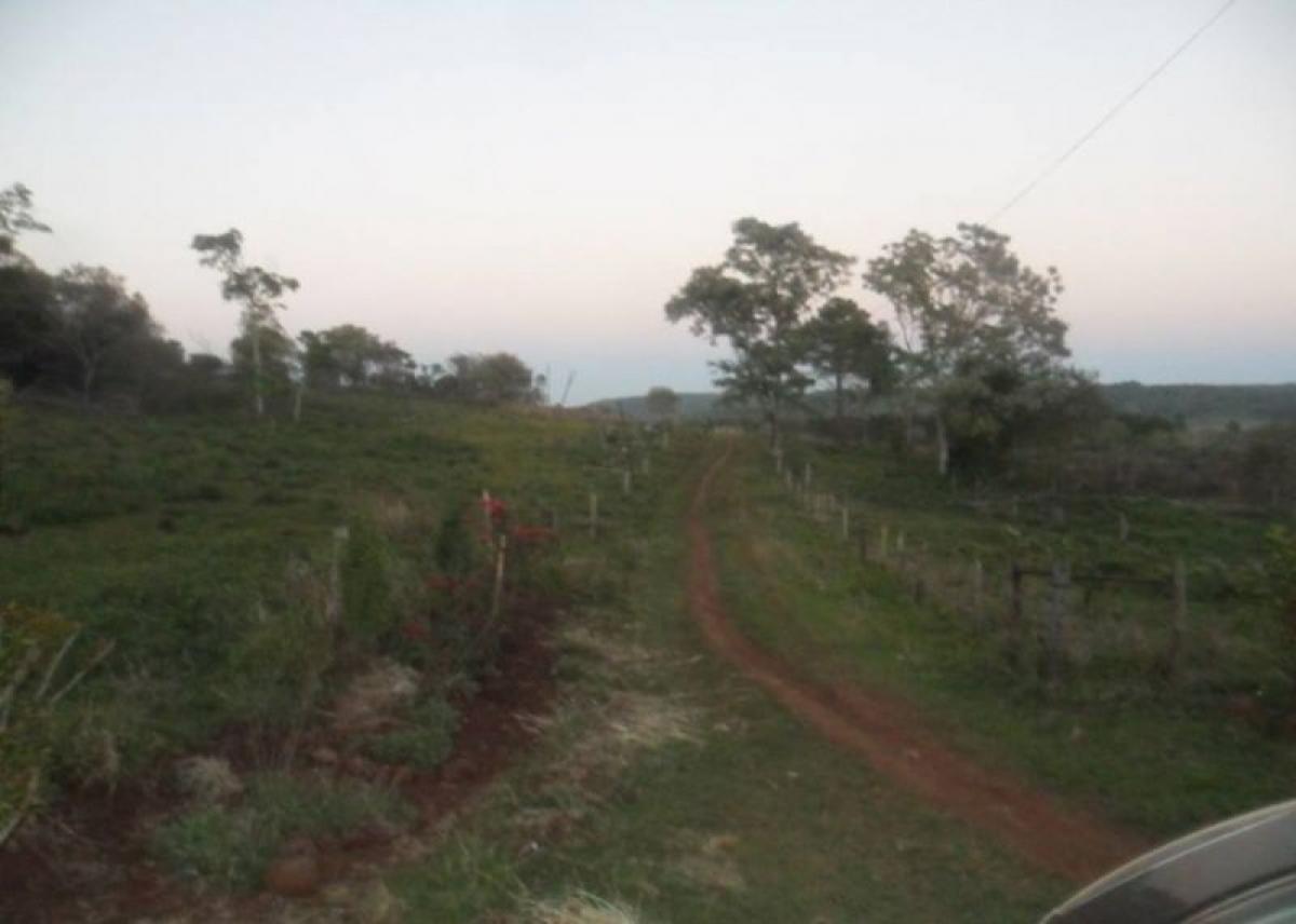 Picture of Farm For Sale in Misiones, Misiones, Argentina