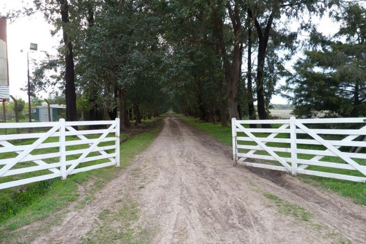 Picture of Residential Land For Sale in Exaltacion De La Cruz, Buenos Aires, Argentina