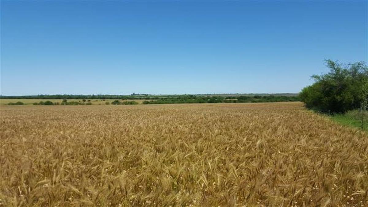 Picture of Residential Land For Sale in Entre Rios, Entre Rios, Argentina