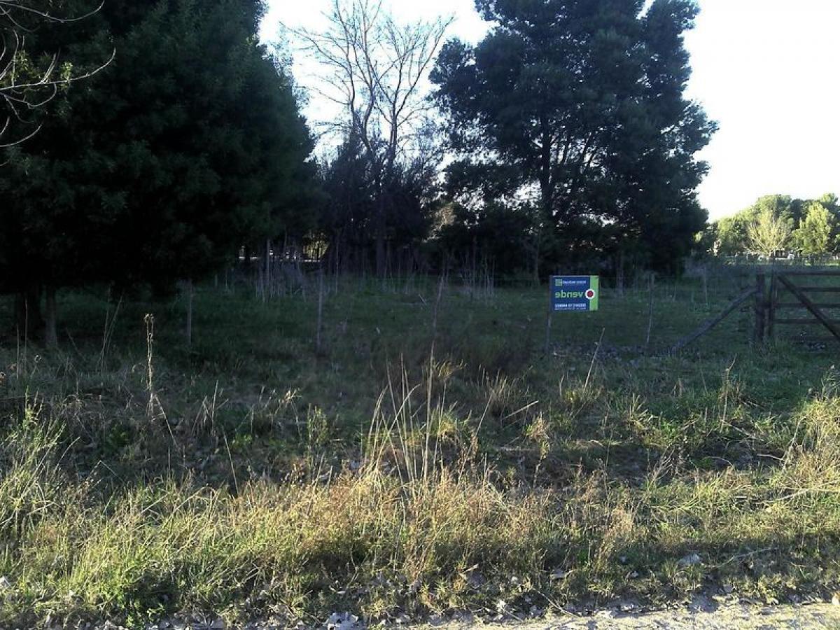 Picture of Residential Land For Sale in Chascomus, Buenos Aires, Argentina