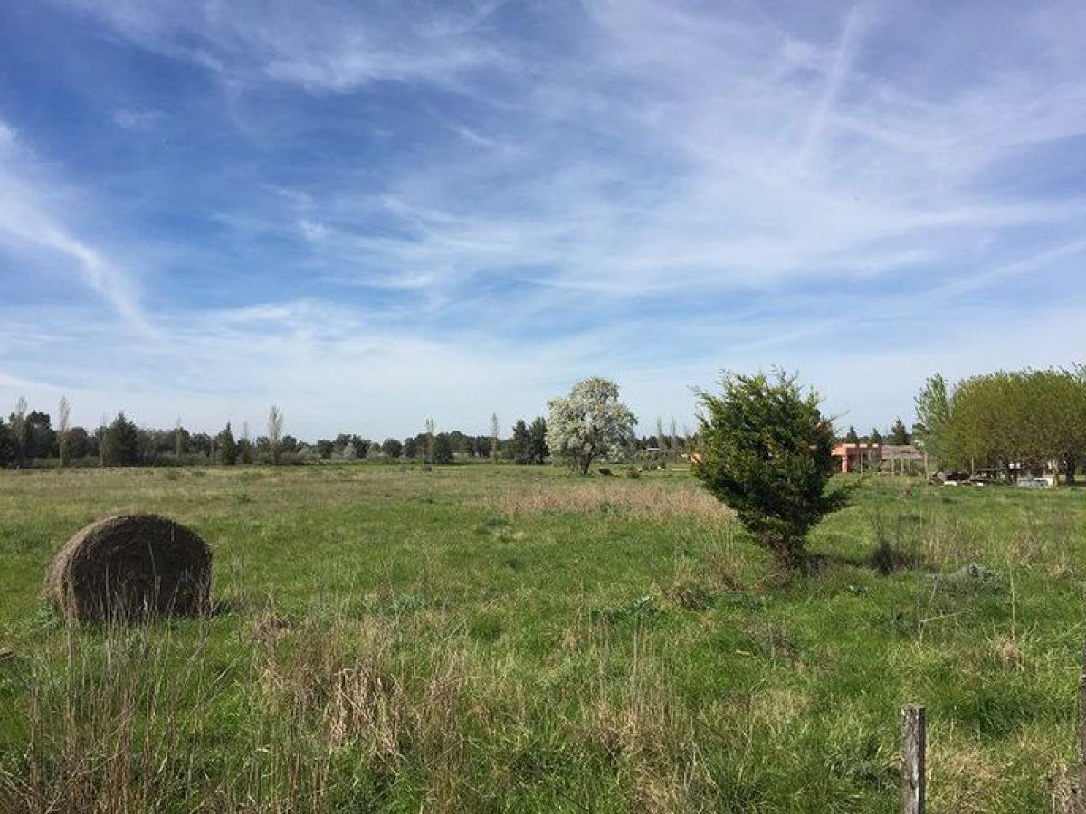Picture of Residential Land For Sale in San Antonio De Areco, Buenos Aires, Argentina