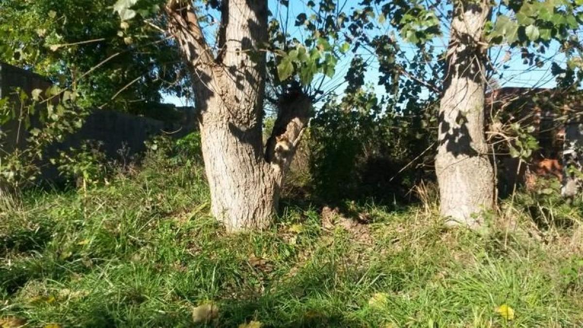 Picture of Residential Land For Sale in Buenos Aires Interior, Buenos Aires, Argentina