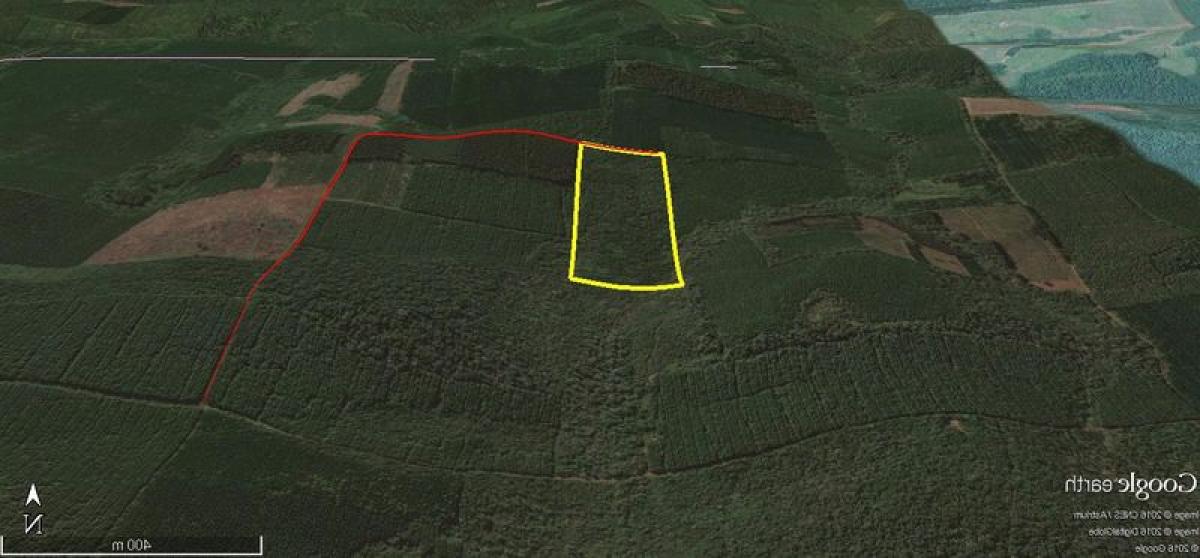 Picture of Home For Sale in Misiones, Misiones, Argentina